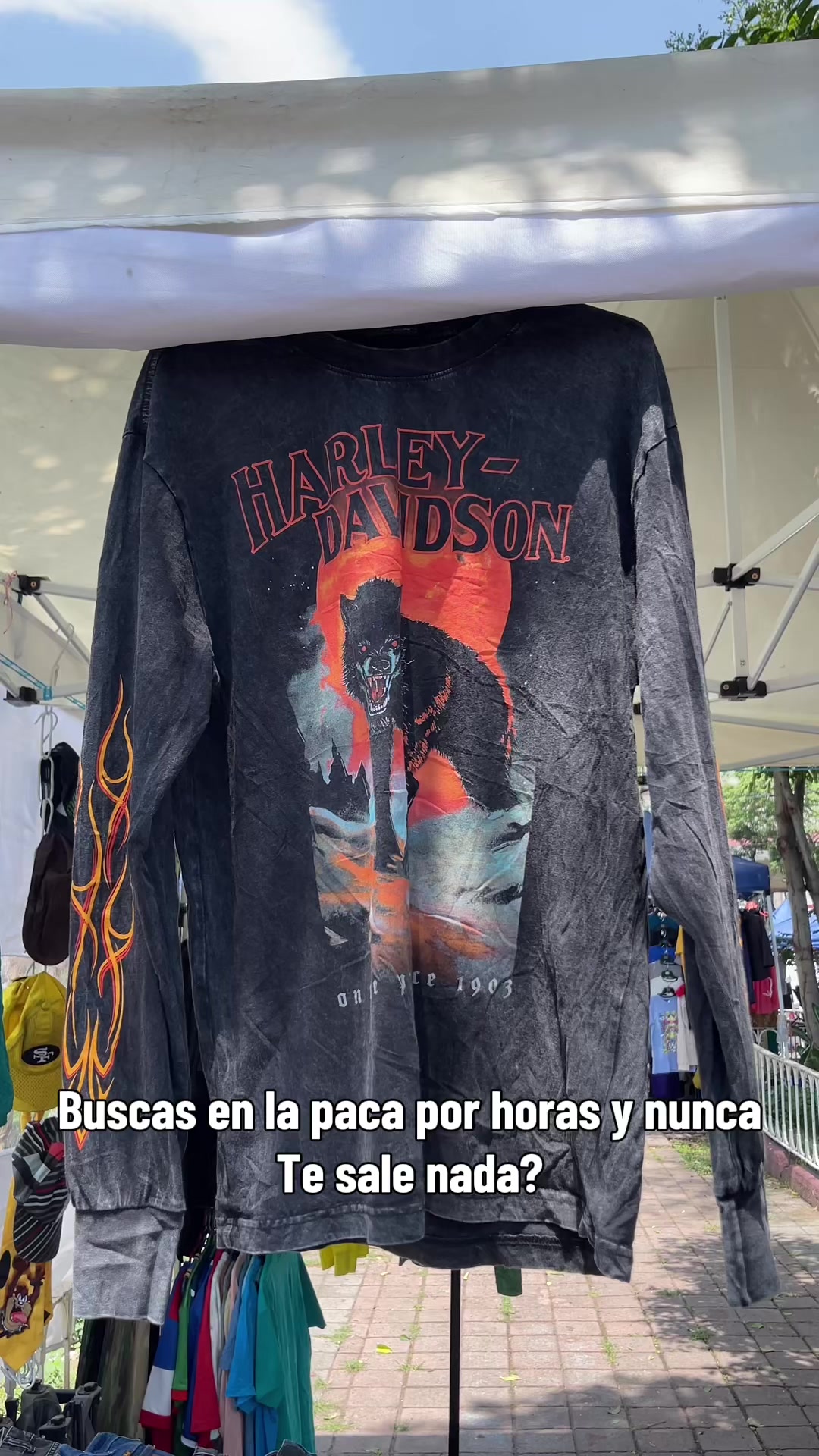 @manitadgmx