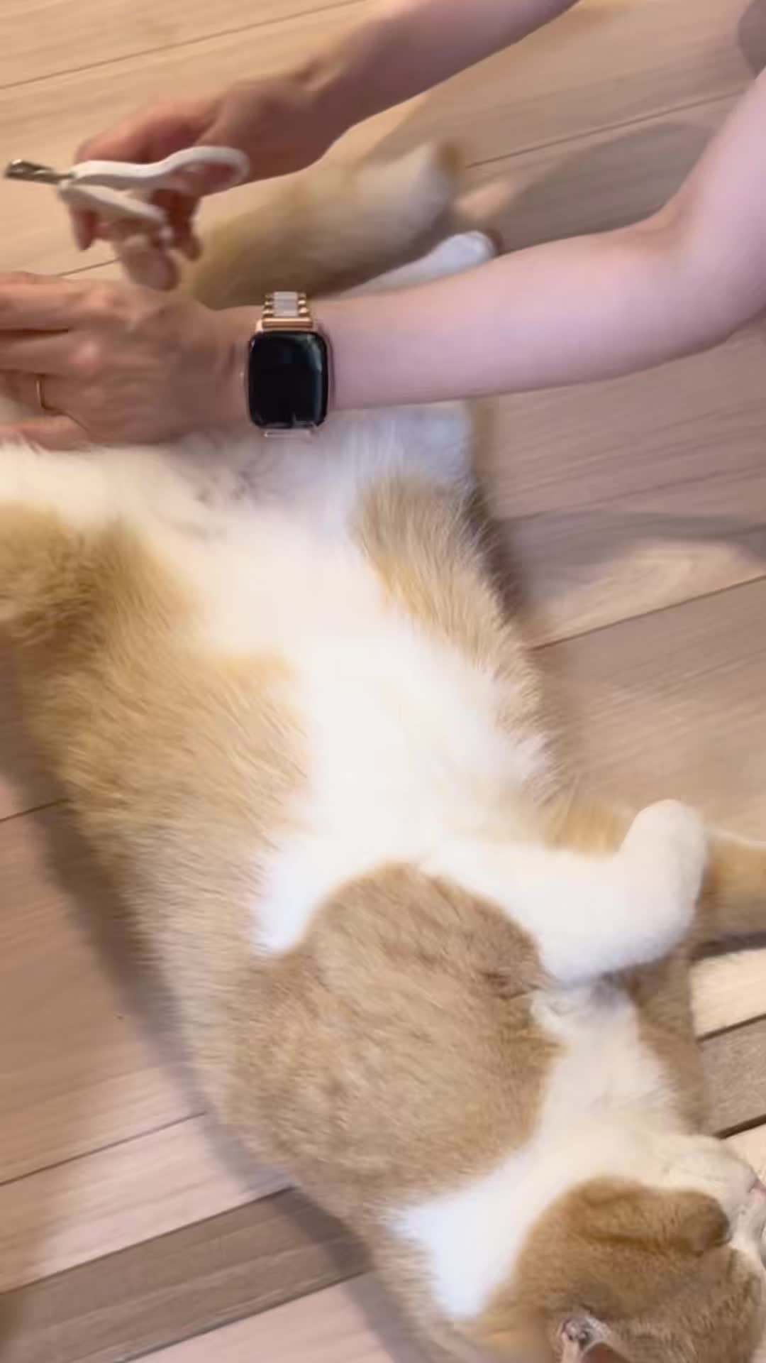 @マロン