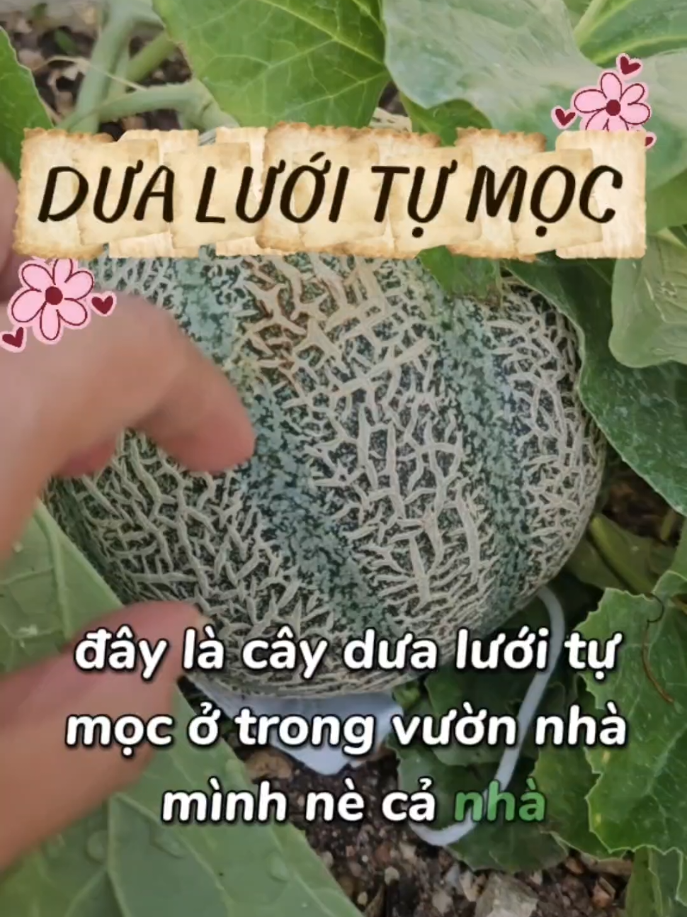 @ChauBui_Phap