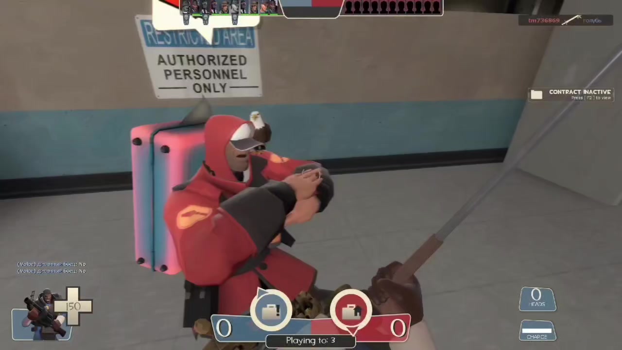 @gavz
