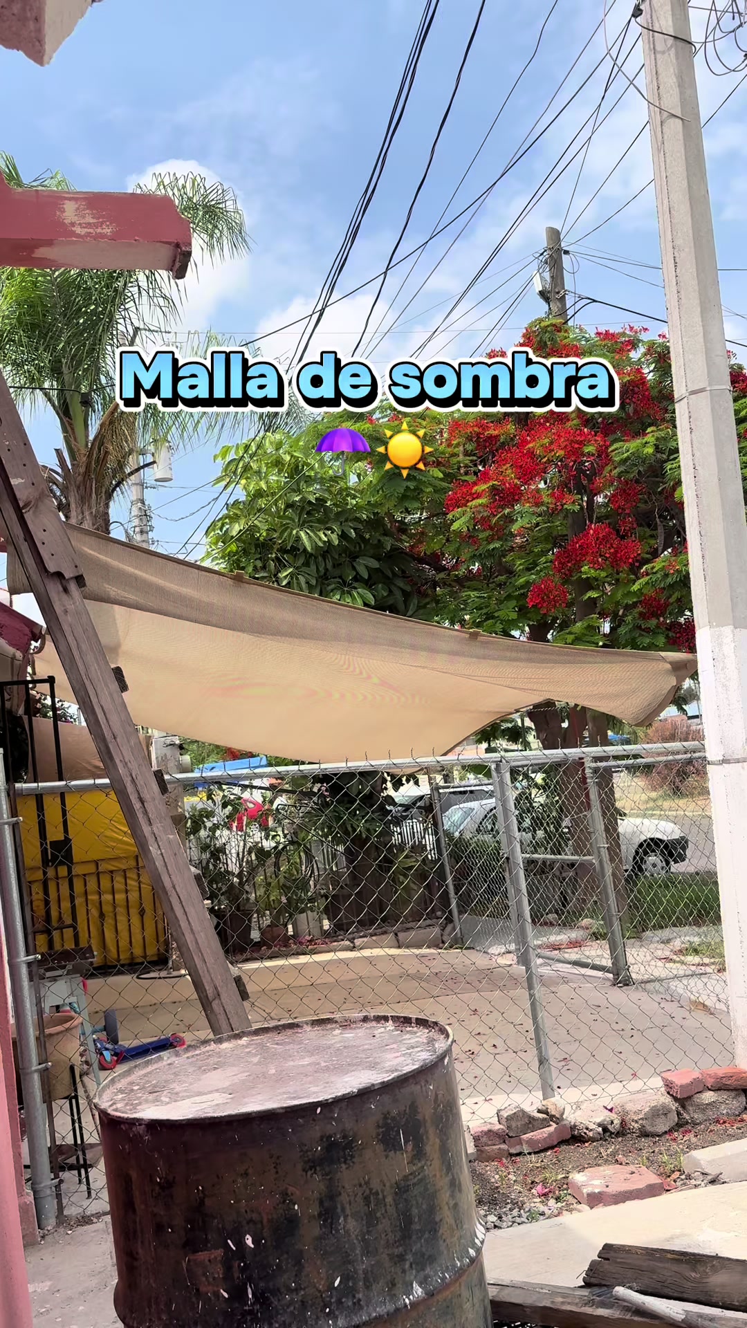 @Abigail Olgu&iacute;n ✨