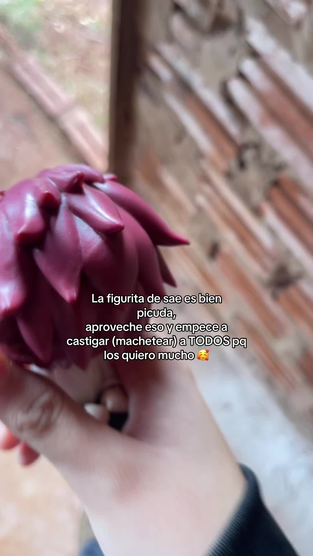 @𝒮o𝒻l𝓍 ✽
