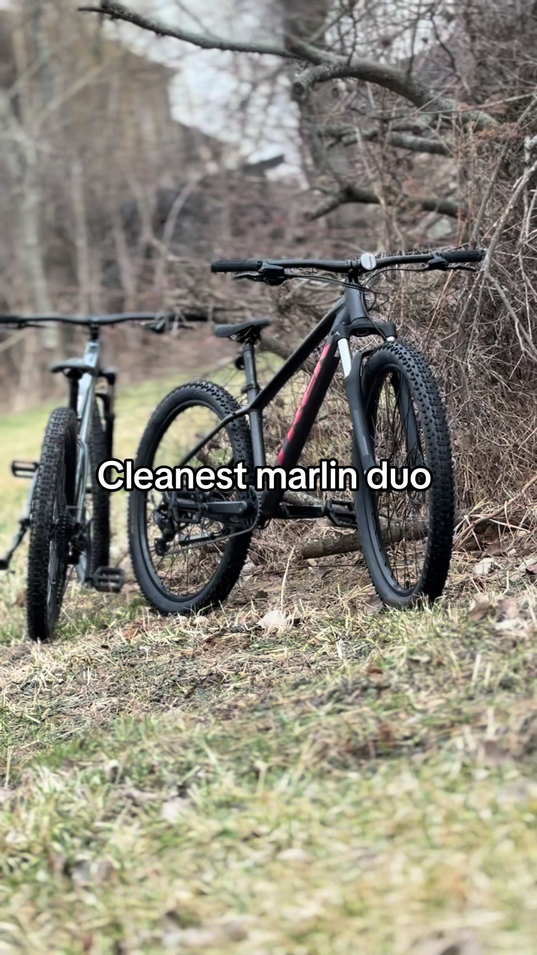 @MTB_Rocco