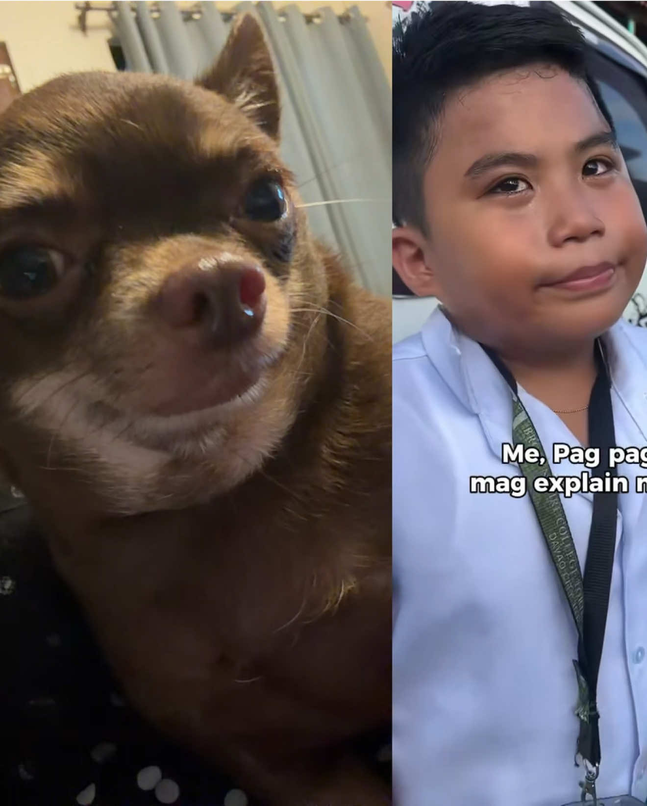@Bambi