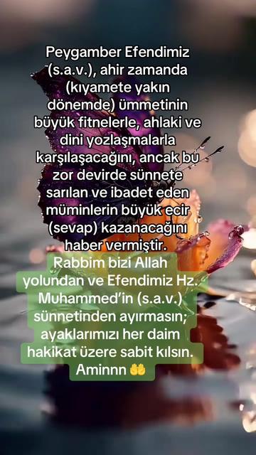 @Ay ışığı 🌙🌟