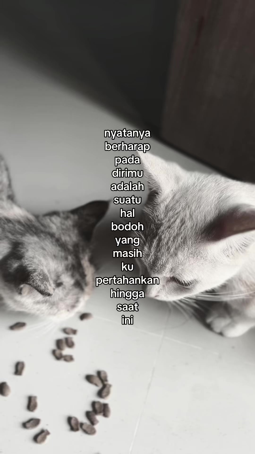 @idgaf🤷🏻♀️