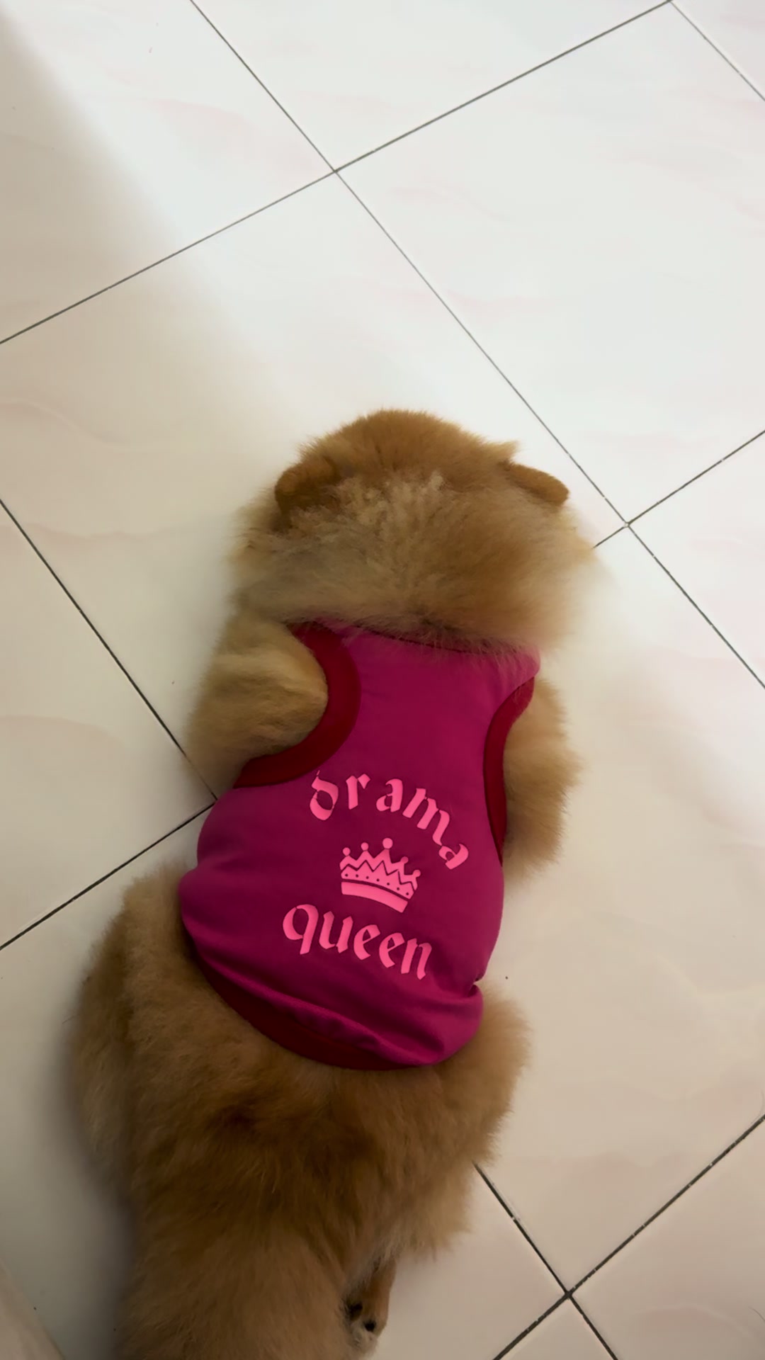@๐๐๐ช๐๐๐๐โ๐ ๐&๐๐ฆ๐