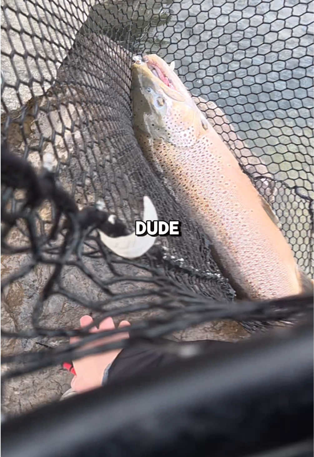 @JlangFishing