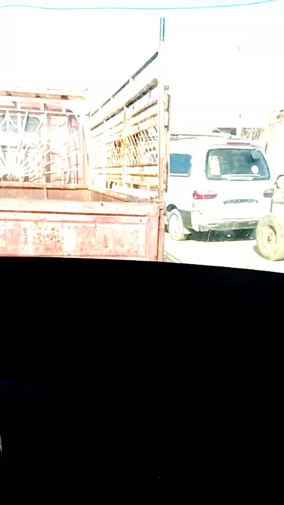@فرج البرتو♕؟