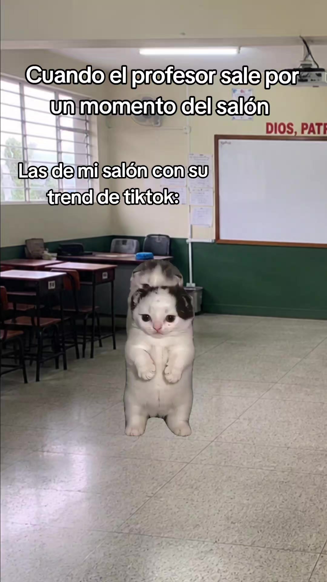 @Jeremyy João❤️