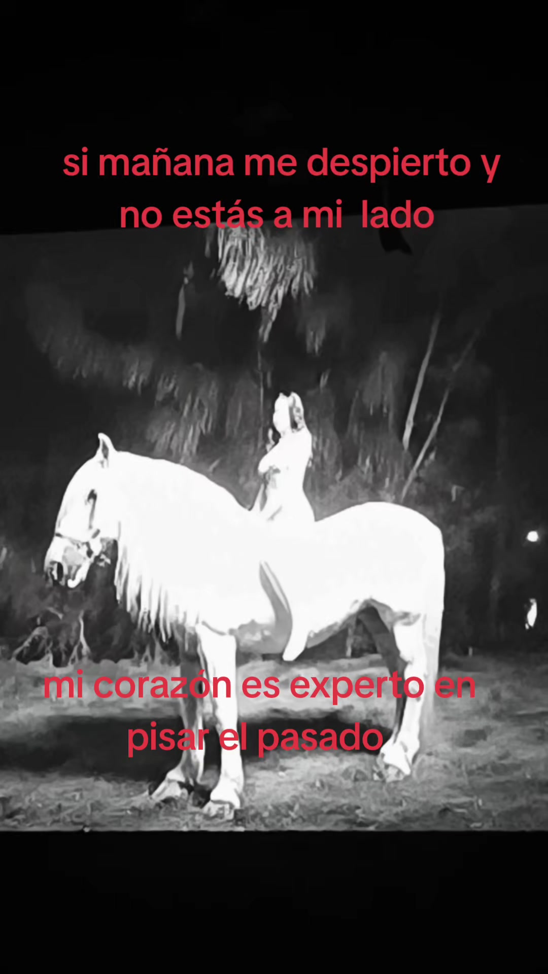 @Androidoko67