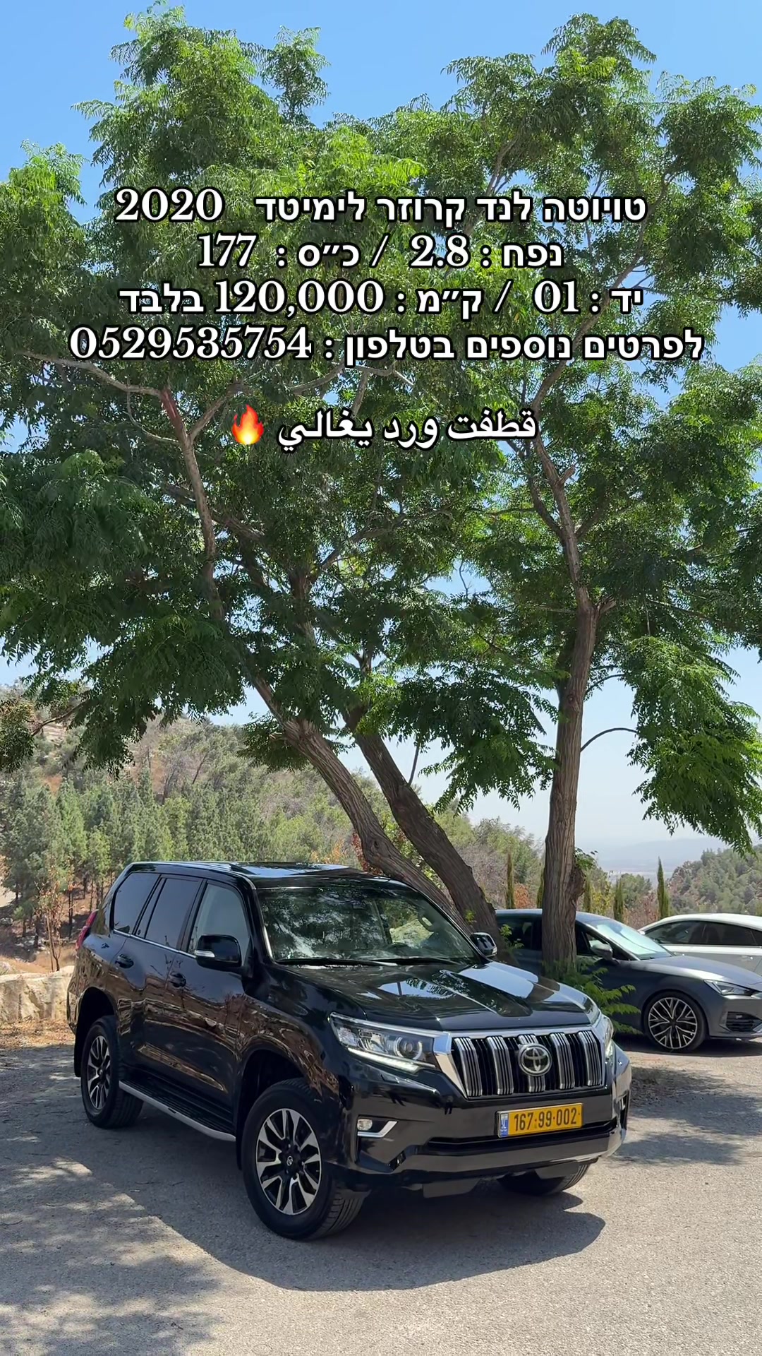 @moaad luxury motors