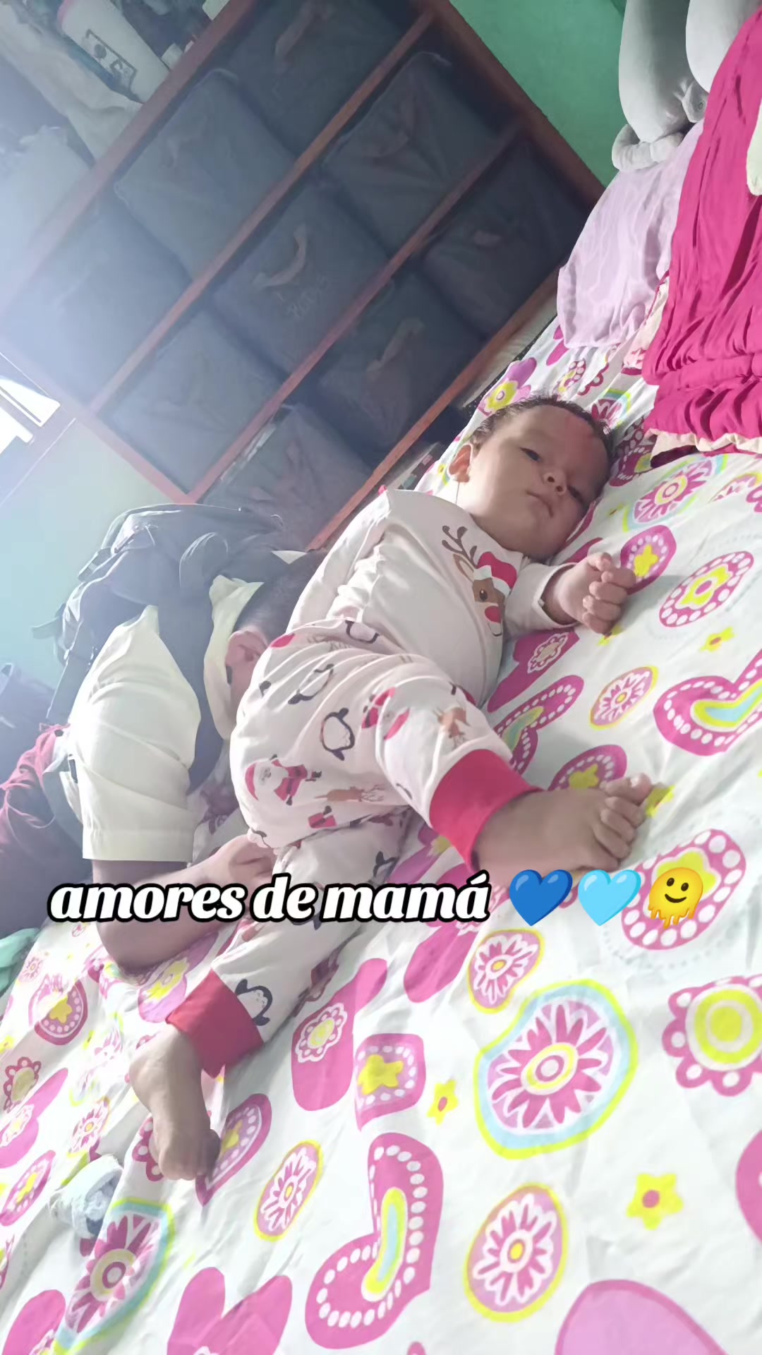@Arianacurillo
