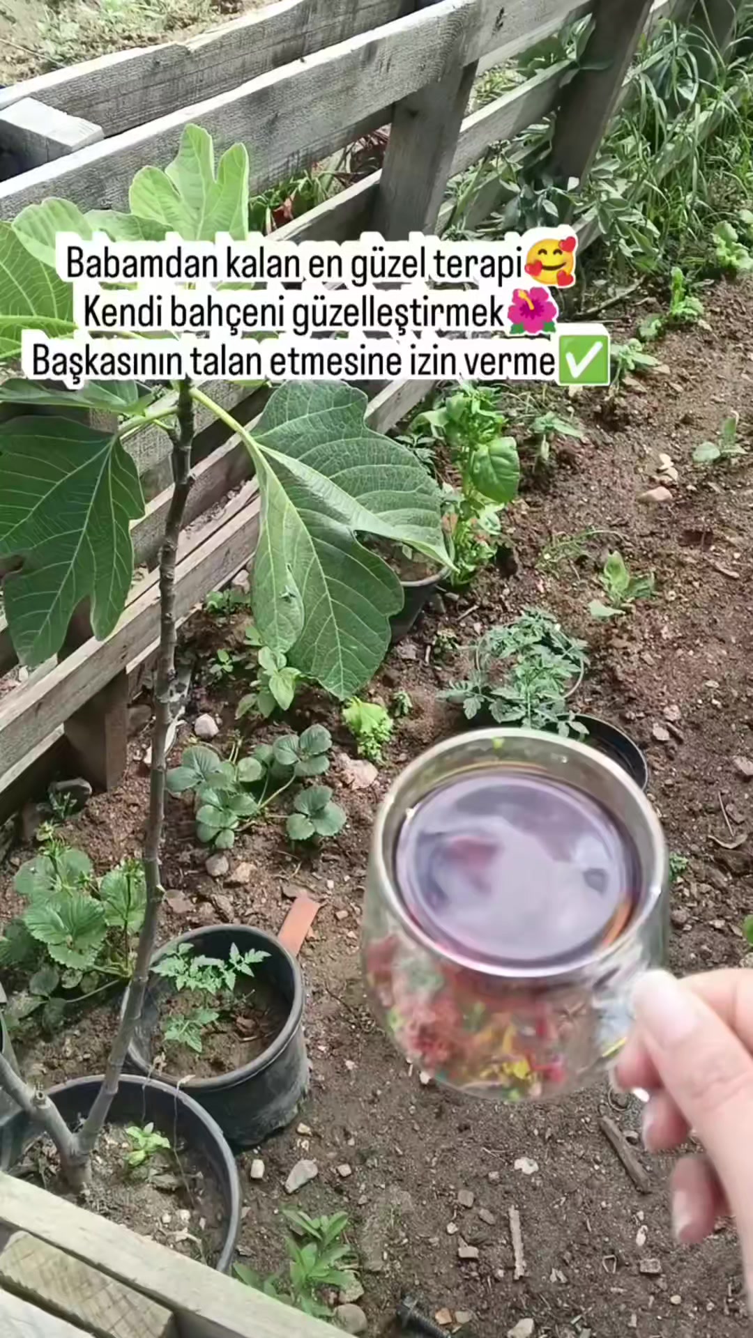 @SINEMayşenur