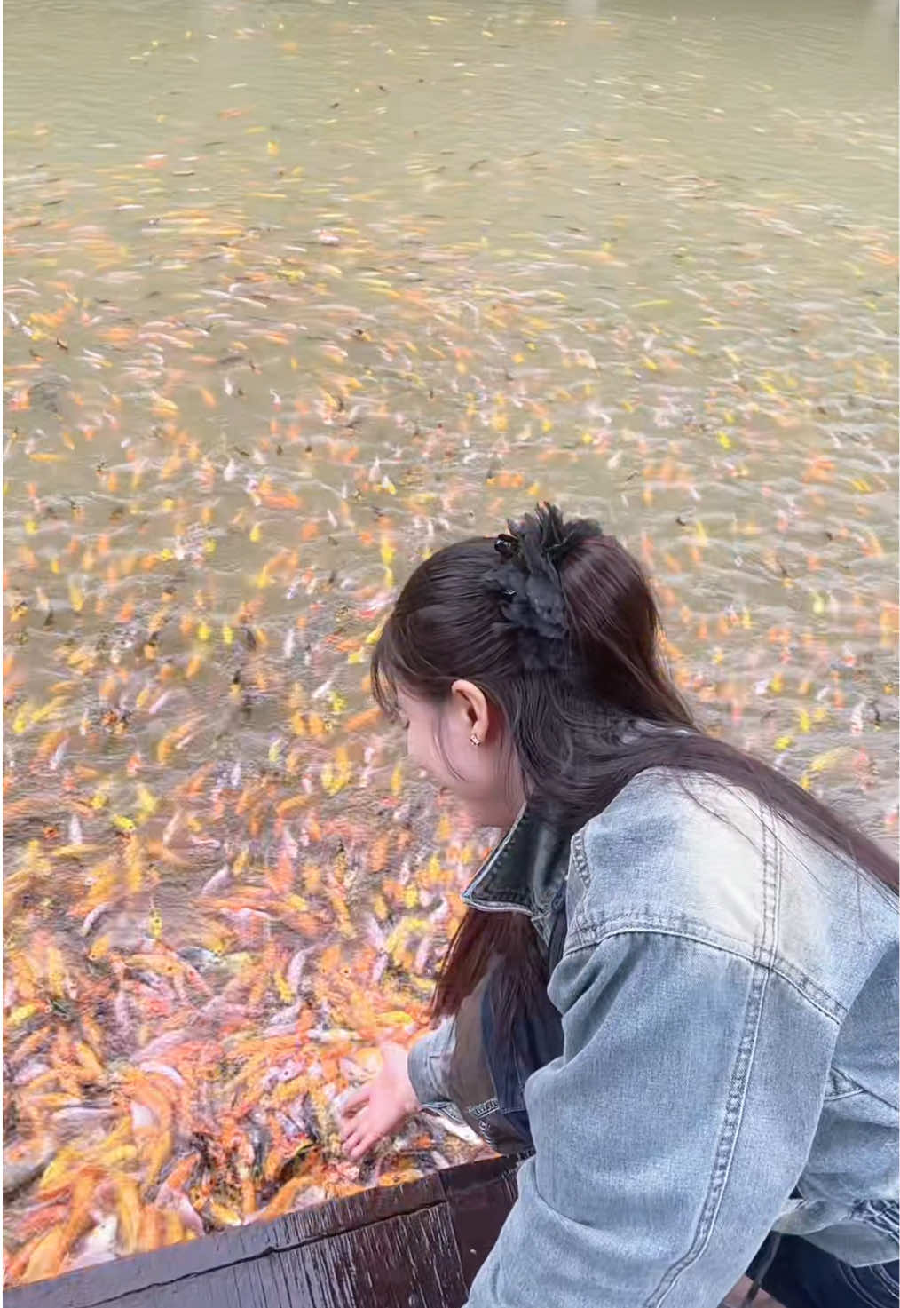 @co_xi_tin