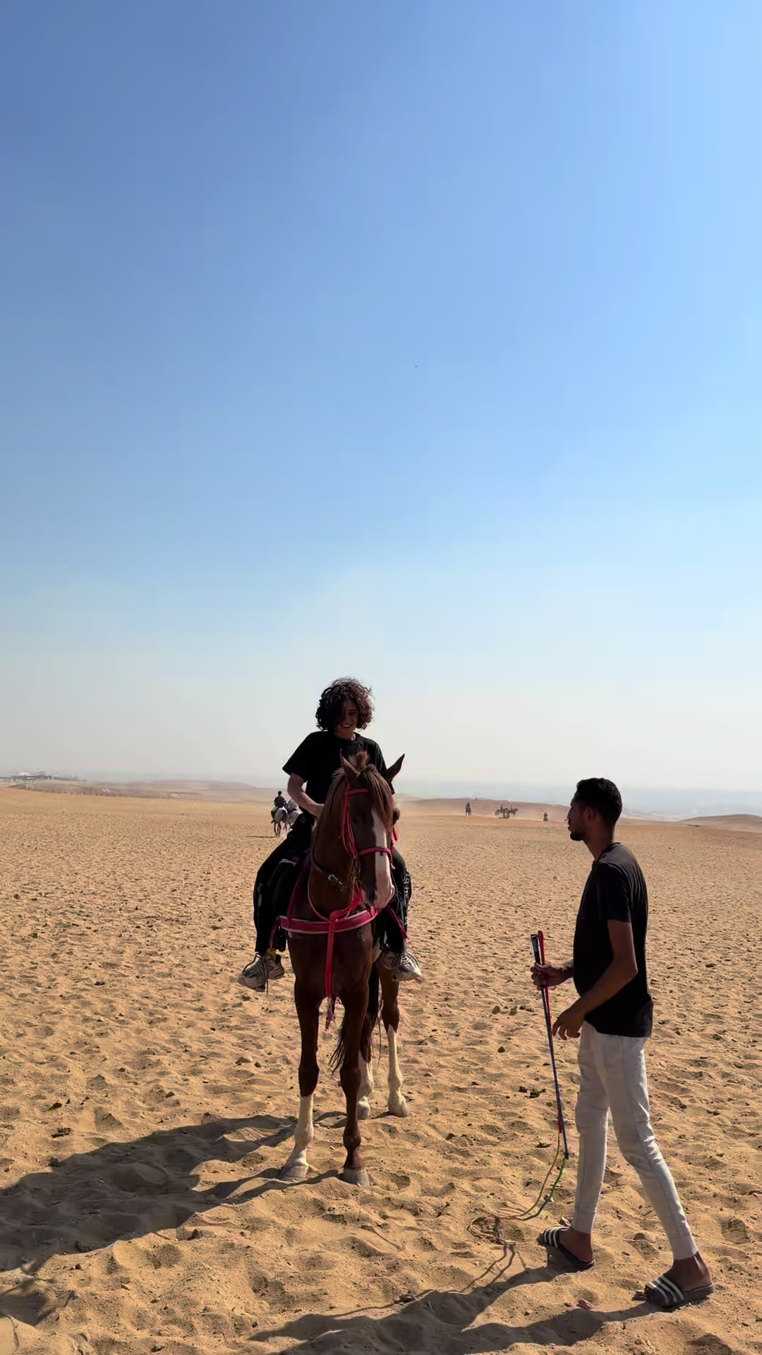 @NOUR🧝🏼&zwj;♀️🦅