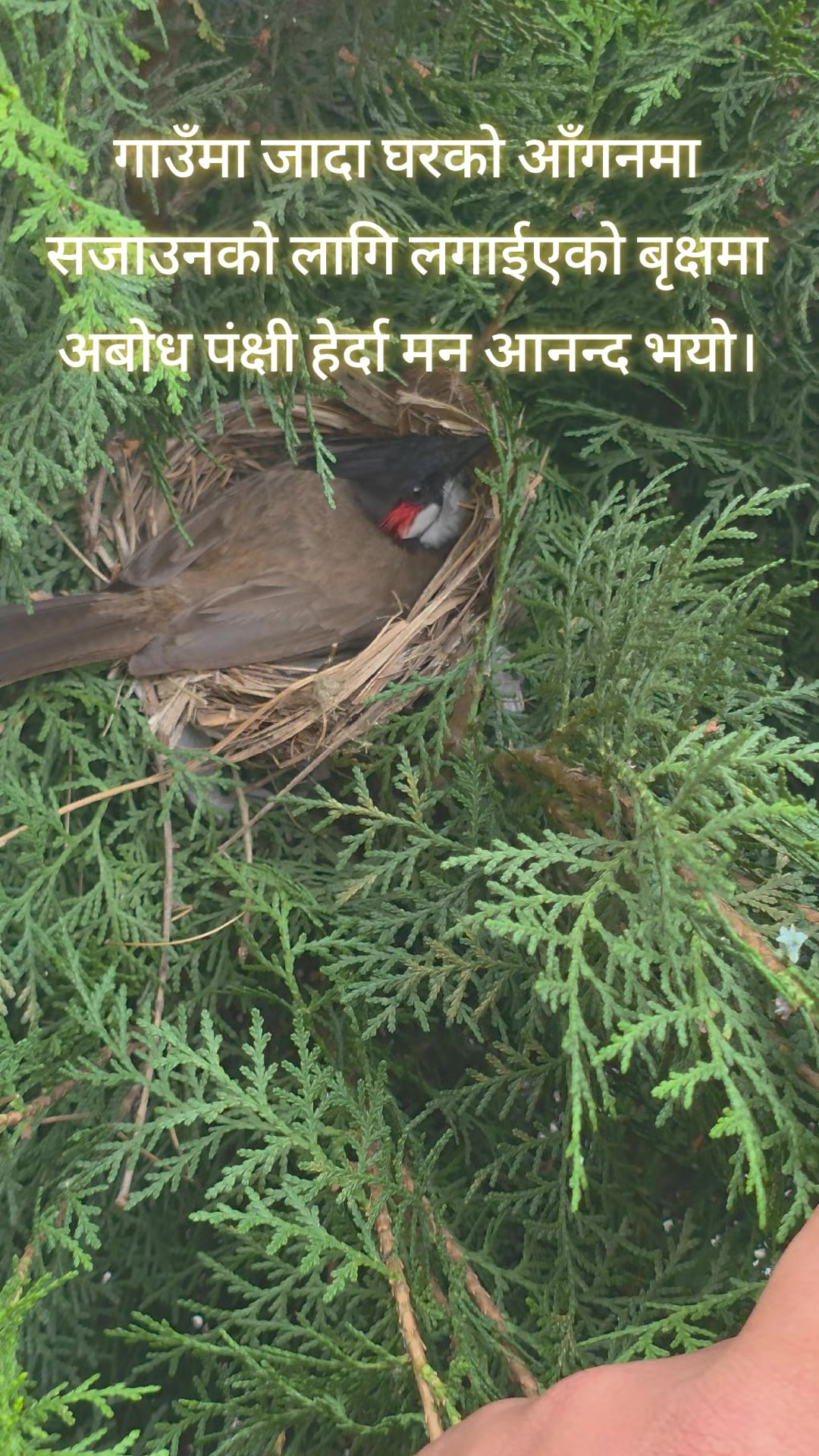 @Navin shah