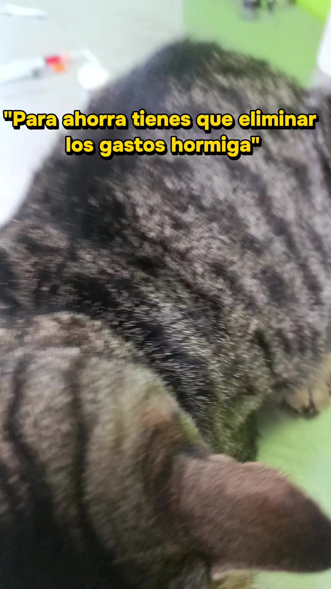 @Luz Ortiz