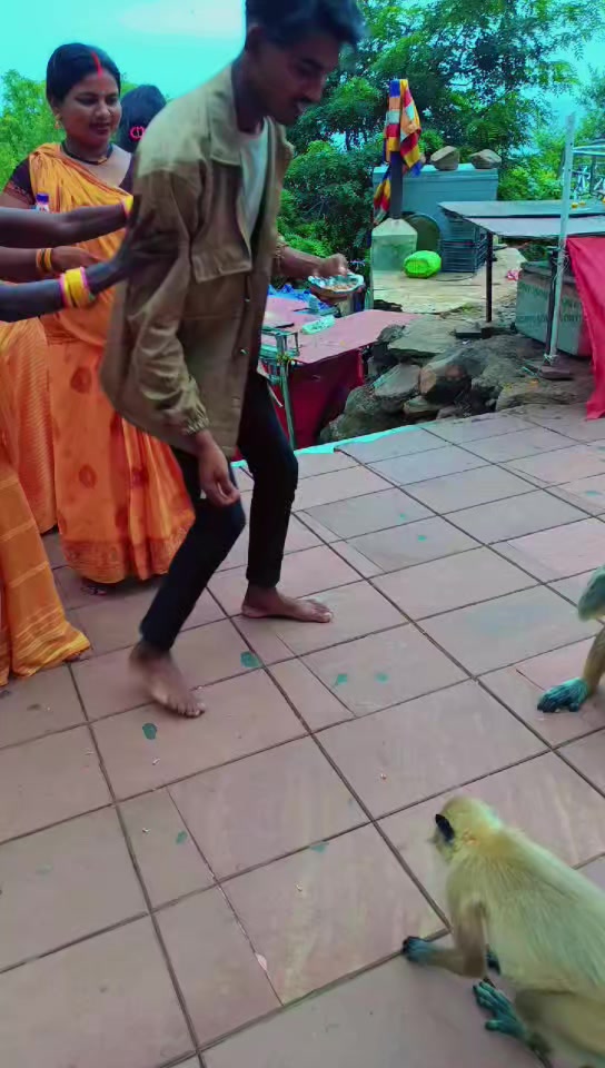 @Saanvi