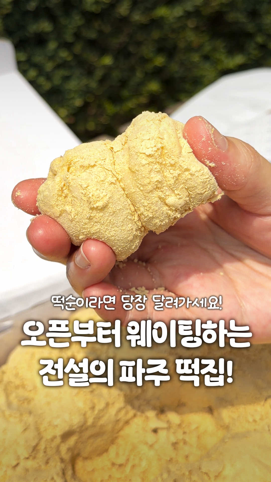 @일산갈고양