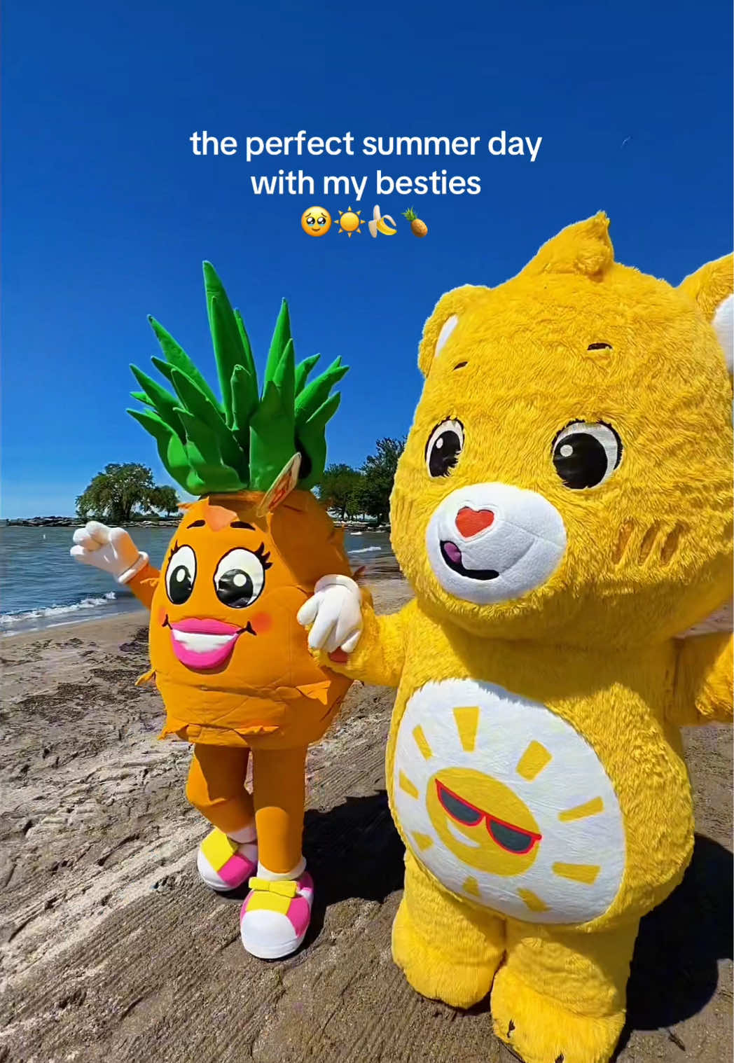 @Care Bears™
