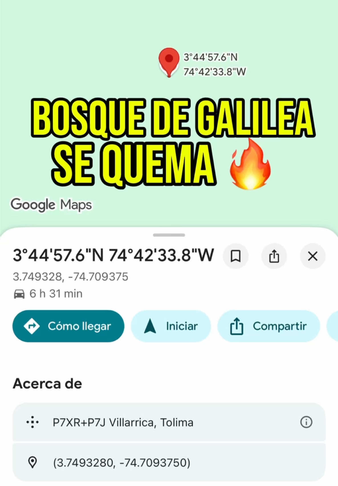 @luisabohorquezr