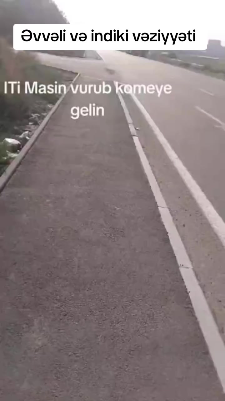@Sahibsiz heyvanlara dəstək