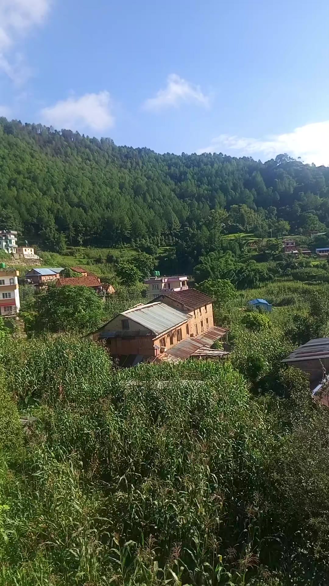 @फिरन्ते 🔎💐🤗