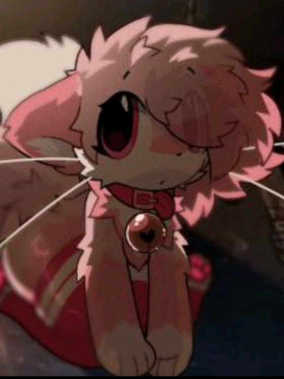 @🌸🐾🐾Puffy🐾🐾🌘ω🌒🌸