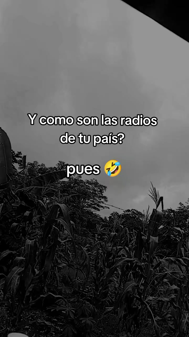 @usern9jnj4m5xj