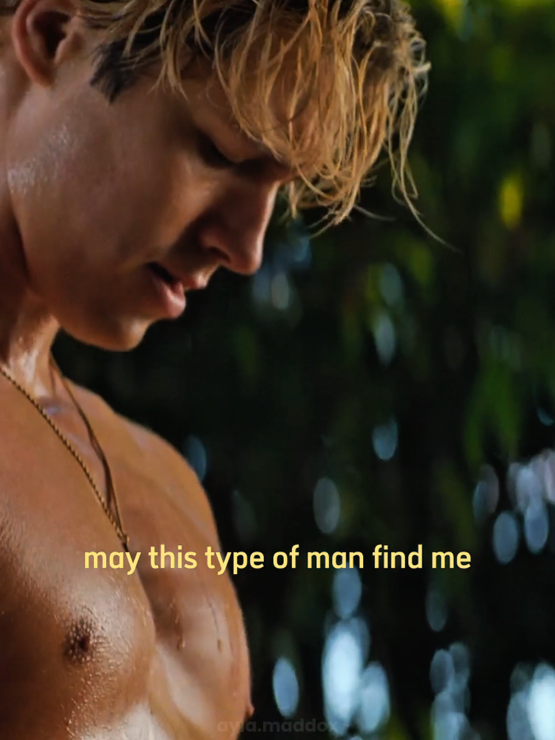@ayla