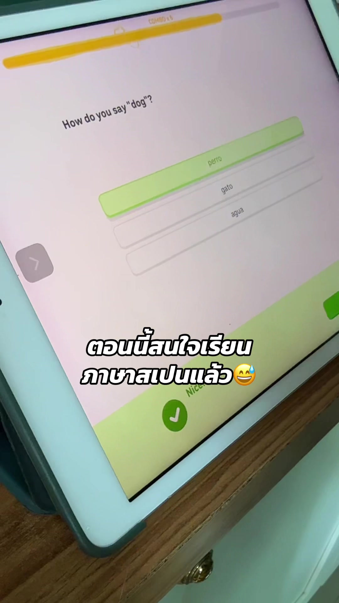 @อาหมวยกับอาตี๋ลูกแม่