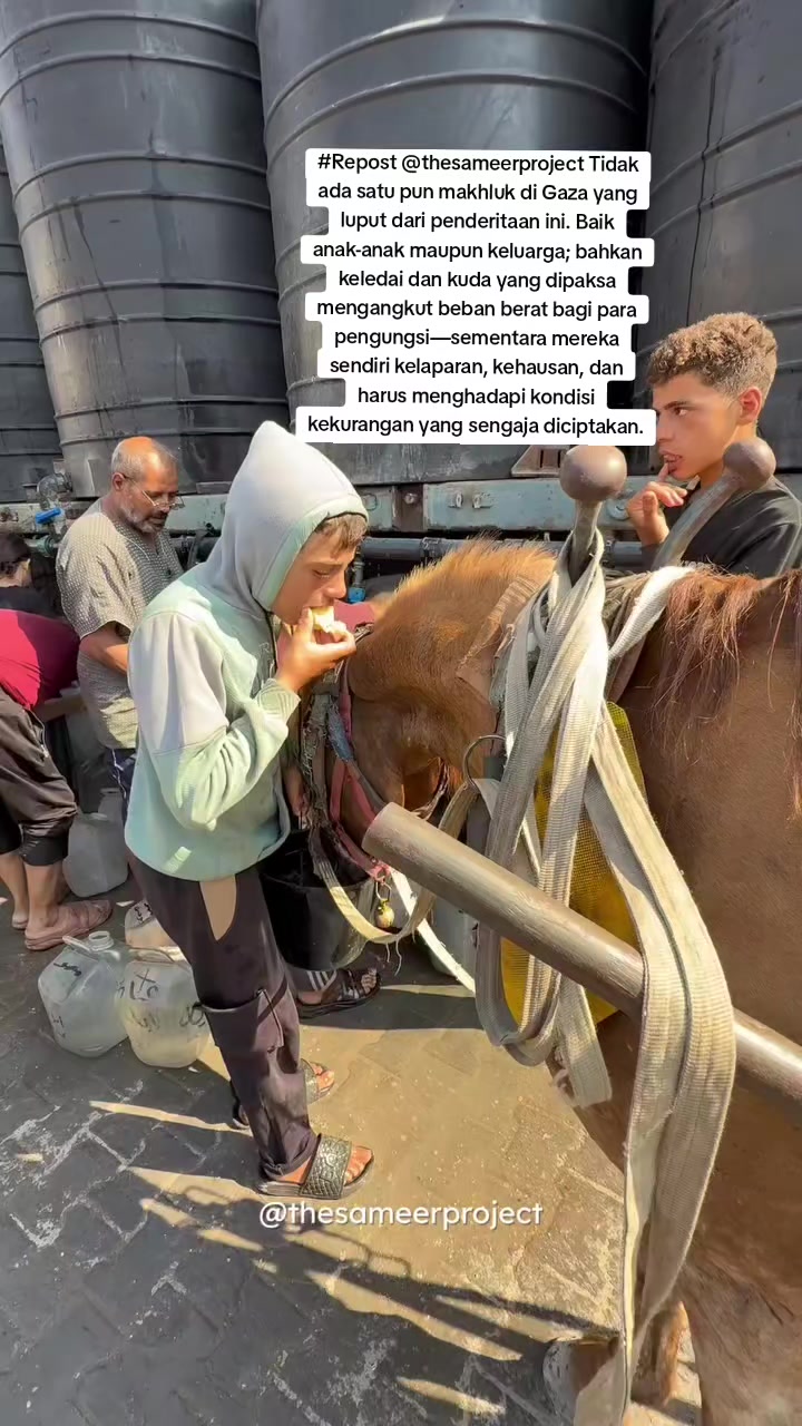 @emi_aRkan