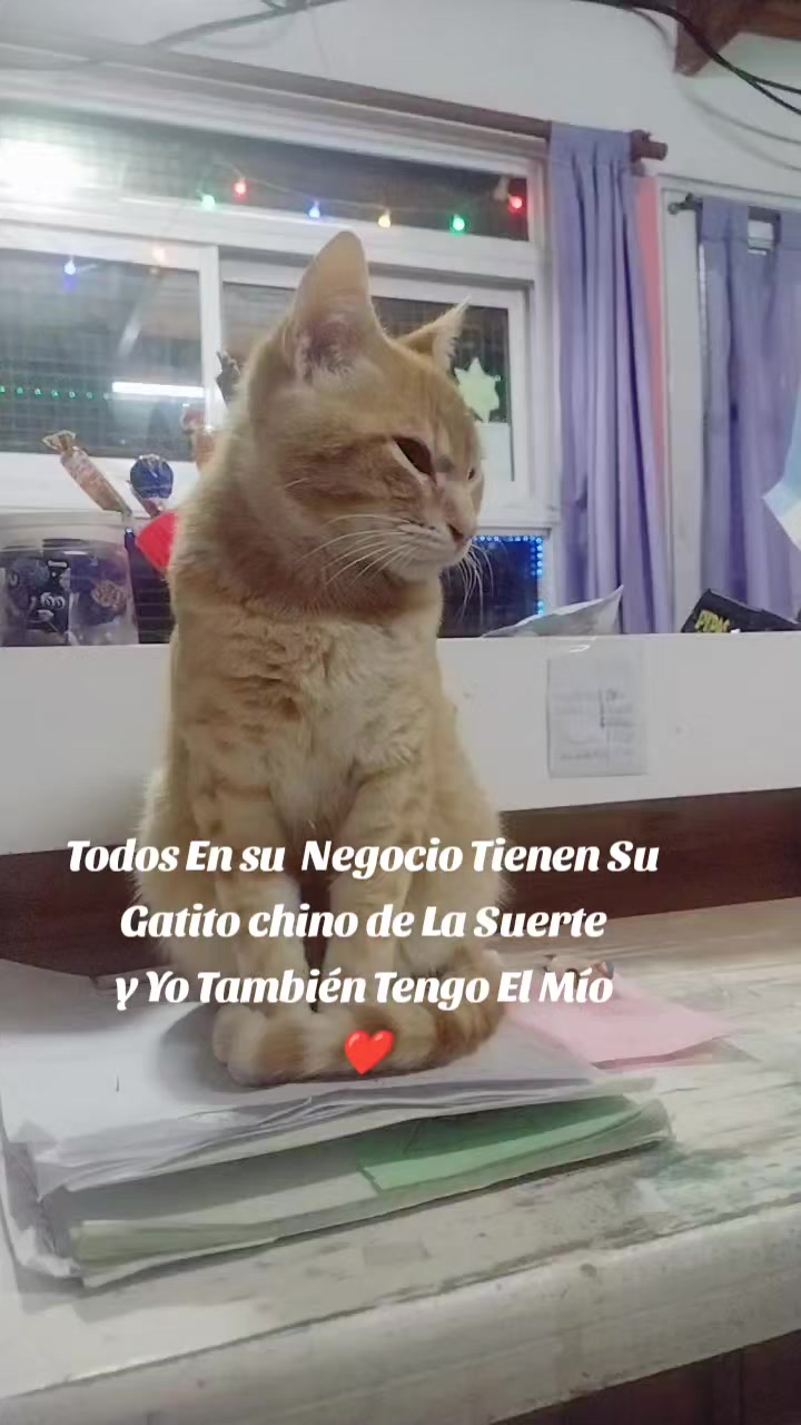 @Yami😘