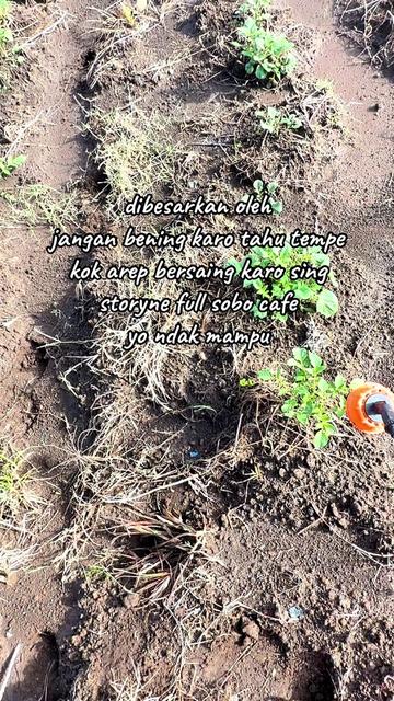 @nanda_setiawan_