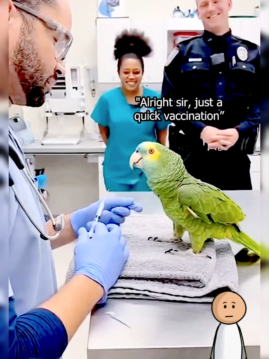 @Funny Animal Voiceover