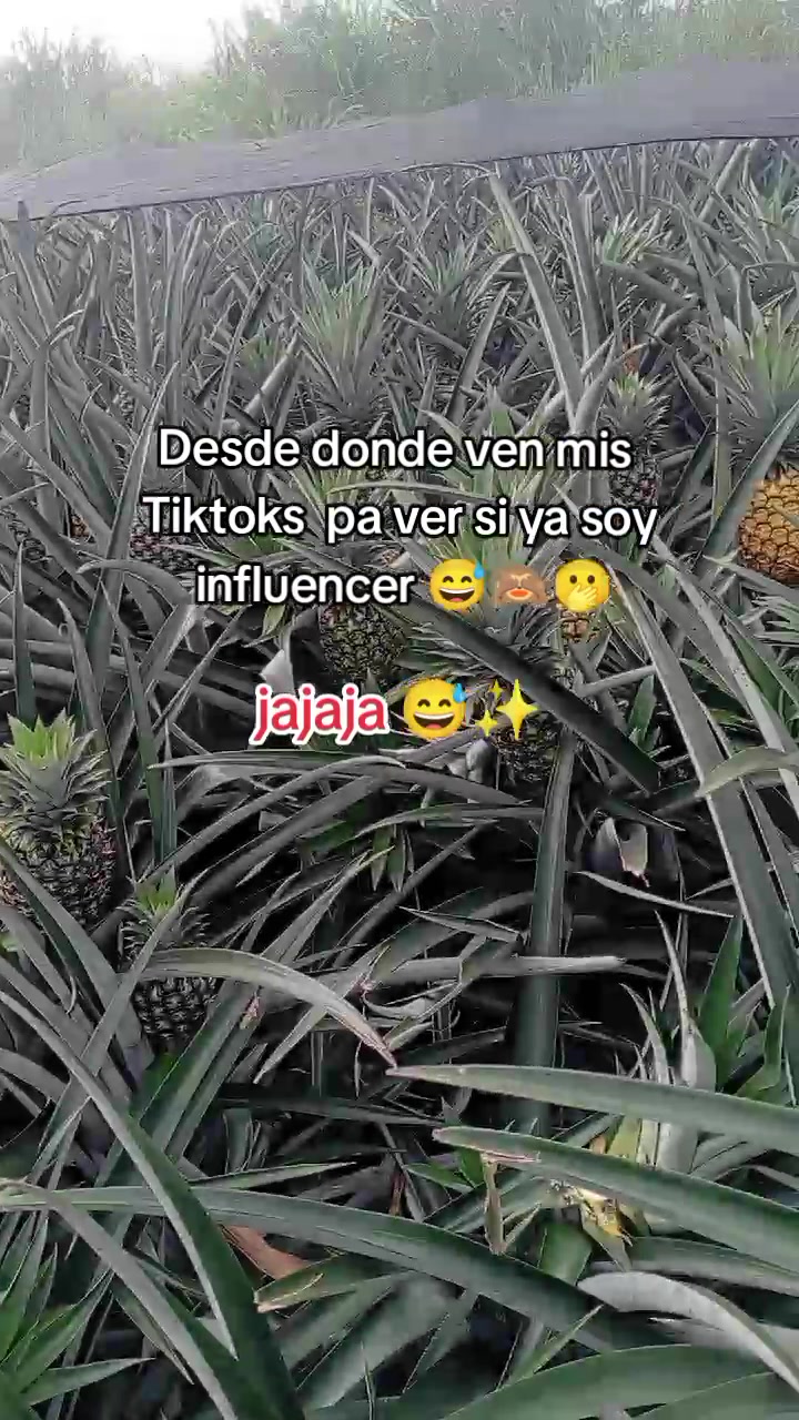 @Soy el Samy 🇲🇽 Plan agrario