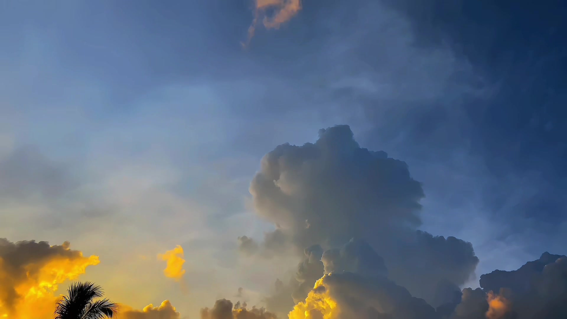 @arunika