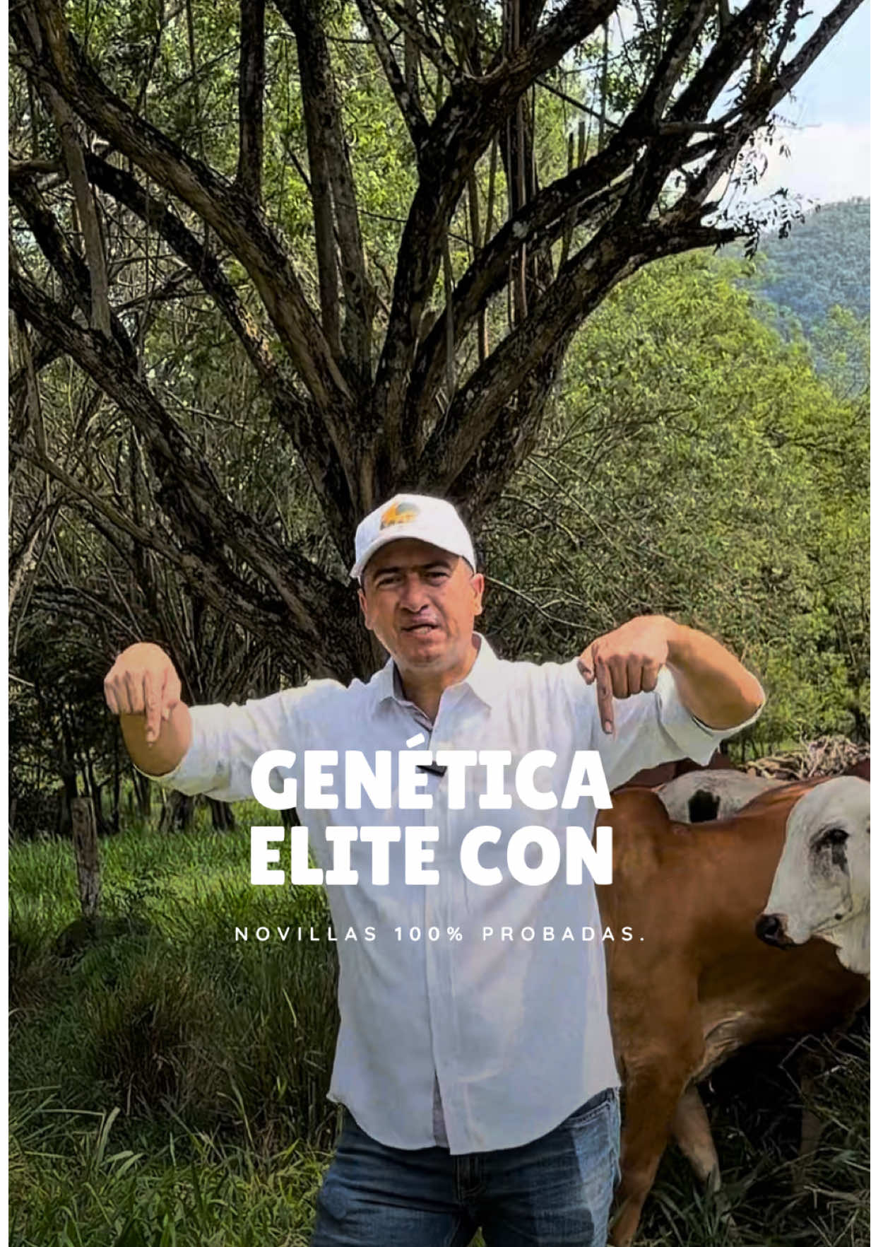 @Rehagronegocios