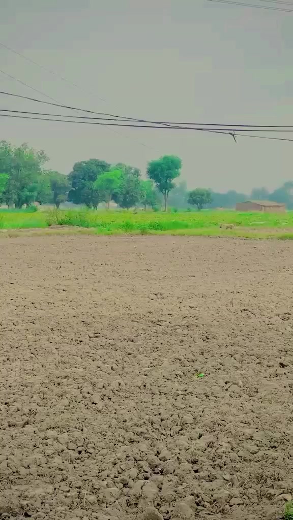 @💸 عاقب کوریہ ⚡