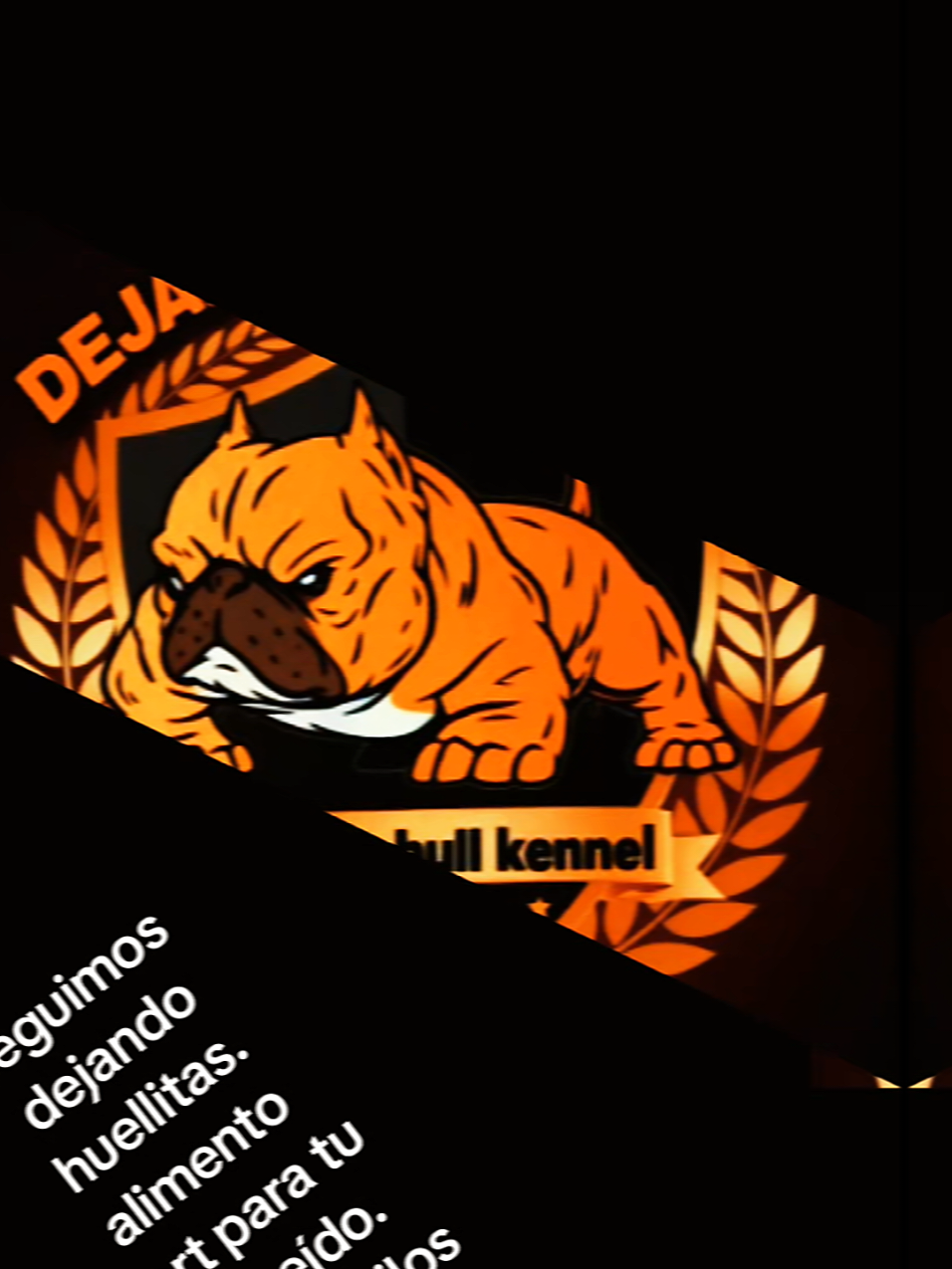 @arevalobullsperú