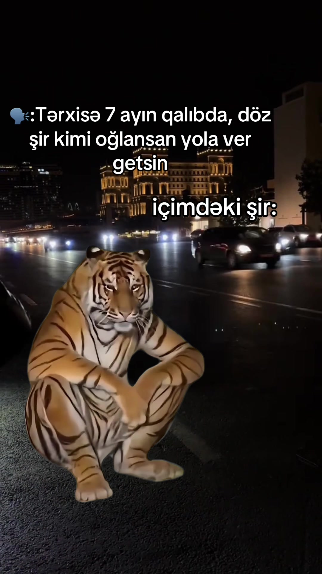 @ulvi_xo