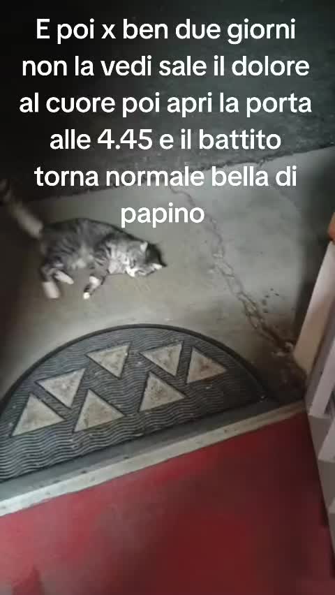 @antoniocasaroricc