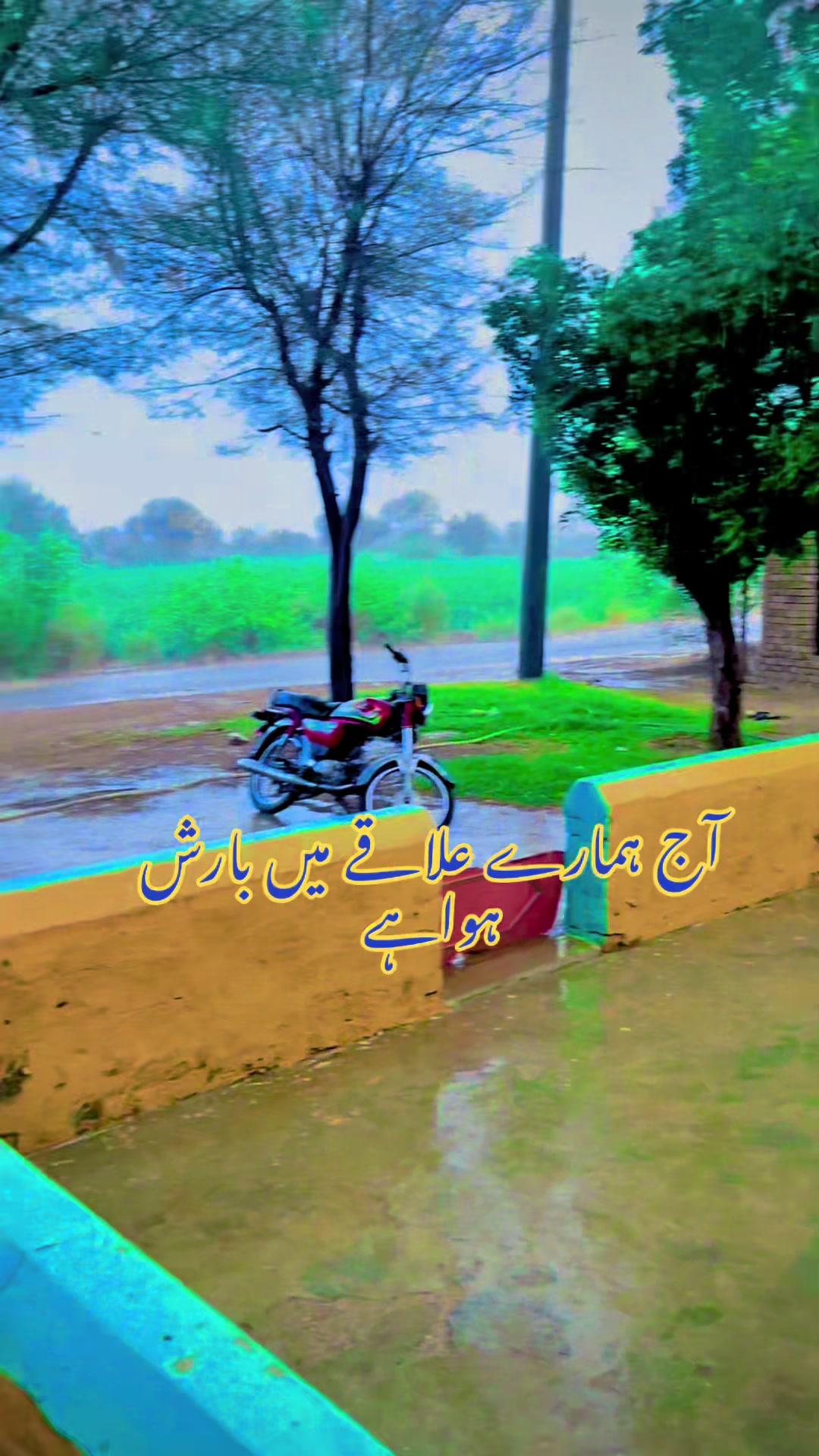 @جی ۰بَلوچی☑️