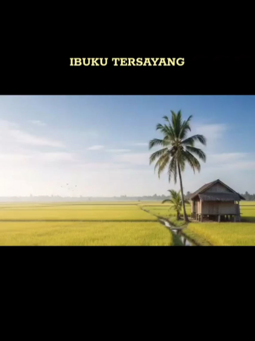 @Bulir Padi