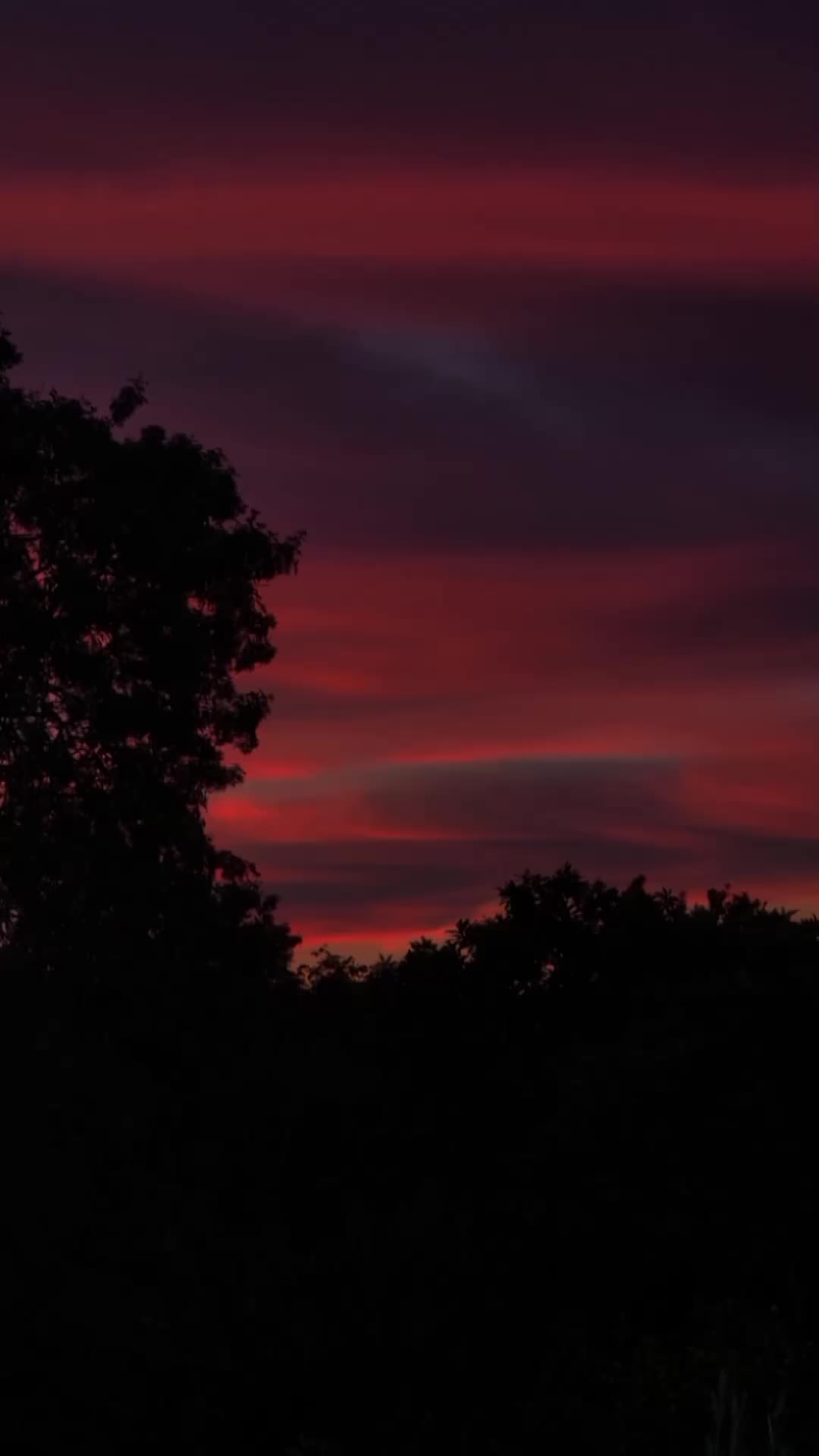 @𝓶 𝓱 𝓪 𝓷 𝓾 𖹭.