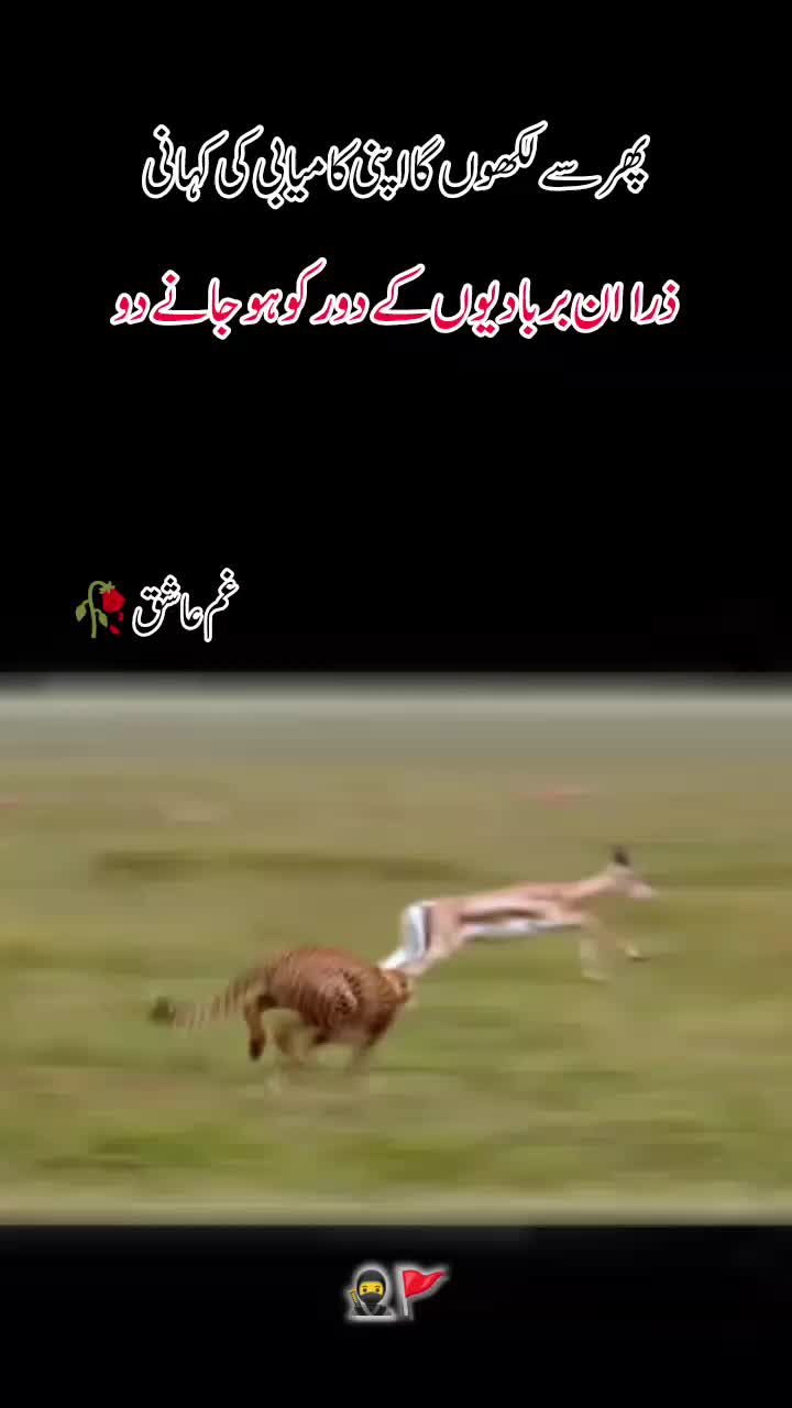 @𝙂𝙝𝙖𝙢 𝙀 𝘼𝙨𝙝𝙞𝙦