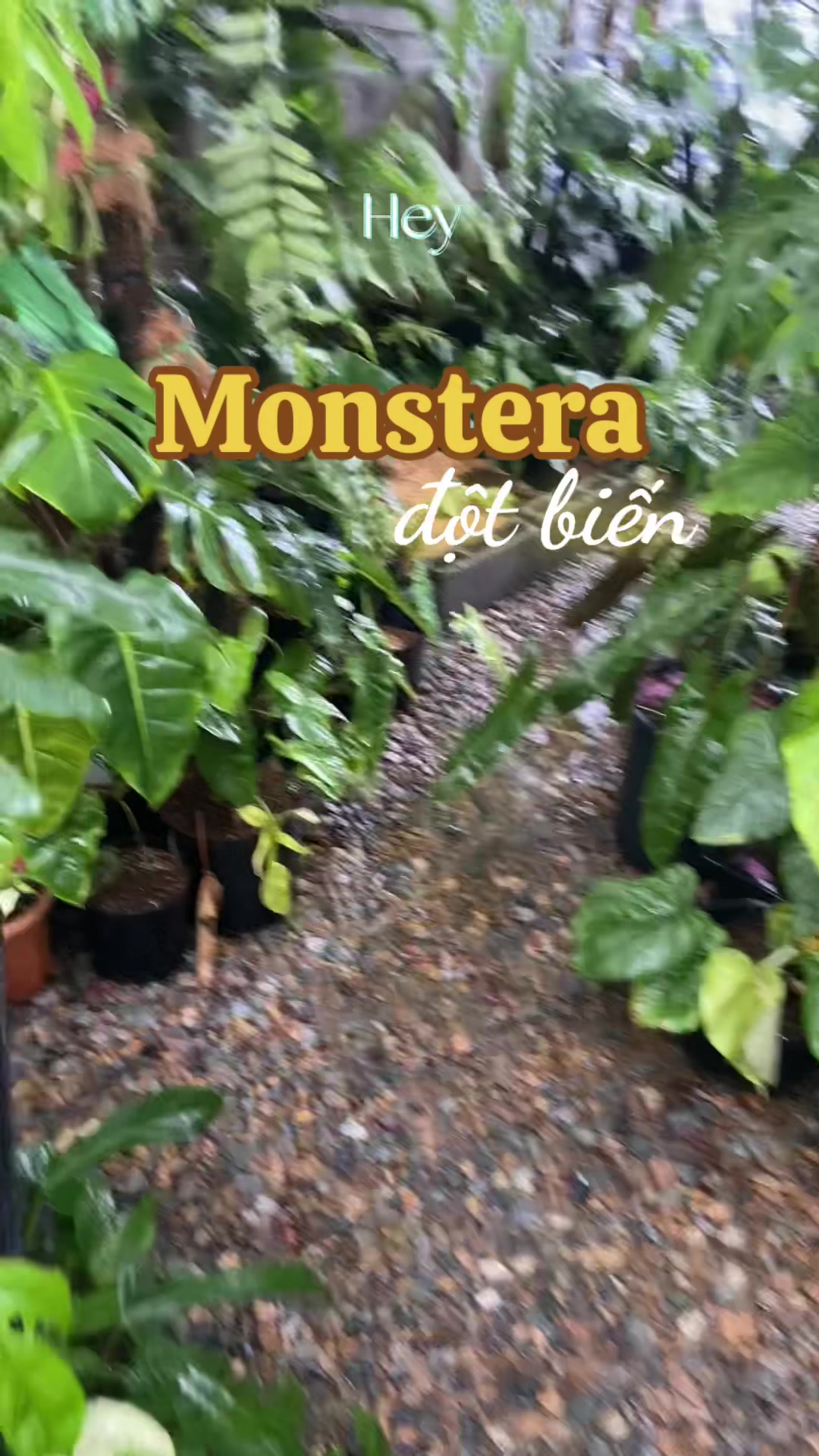 @Kid Garden Decor