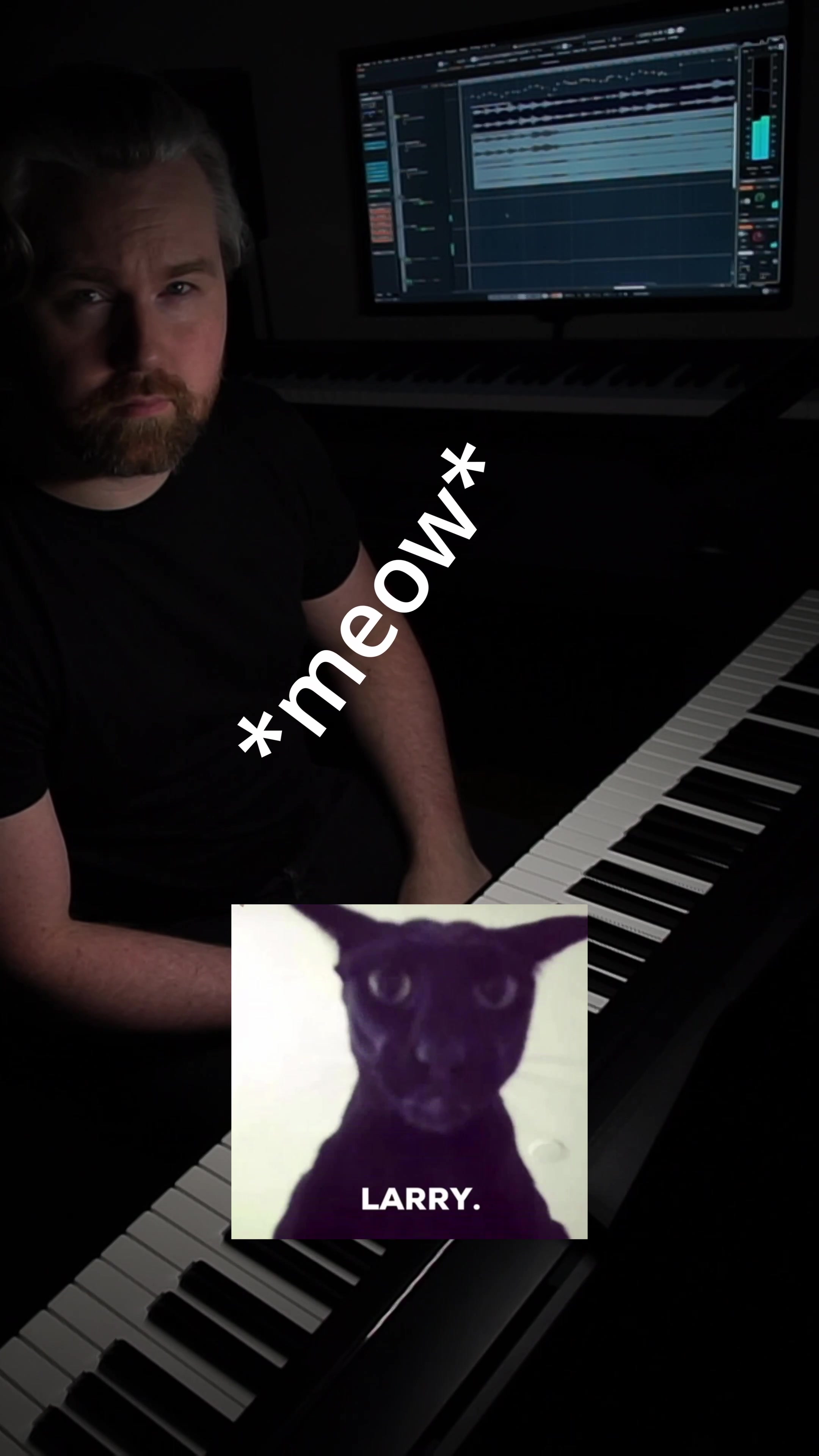 @hobbikats