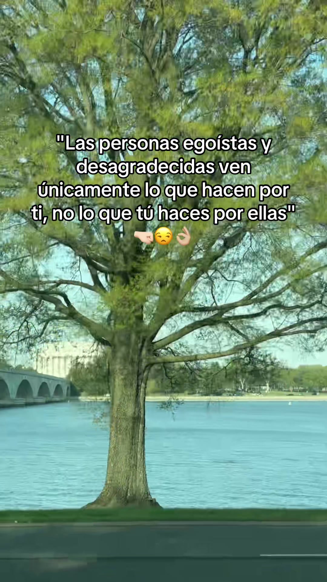 @Luzma1802